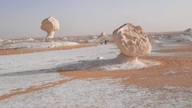 আফছার হোসাইন (কায়রো-মিশর থেকে)